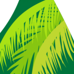 J-Palm Liberia