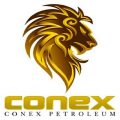 Conex Group J.V. Ltd