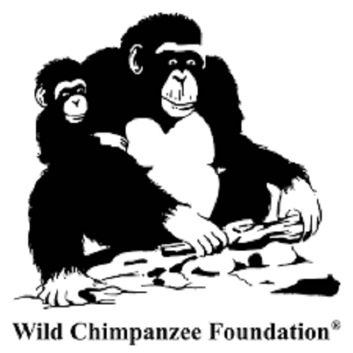 Wild Chimpanzee Foundation (WCF) Liberia HR Jobs Board