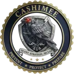CASHIMEE PROTECTIVE SERVICES LLC